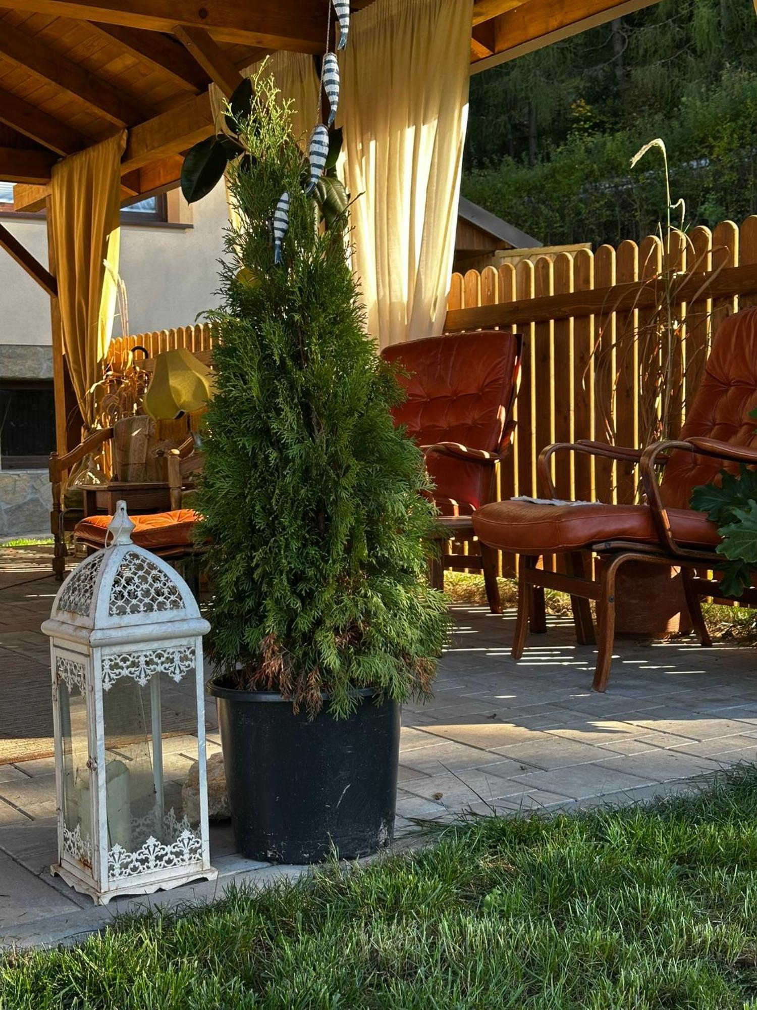 Gosciniec Stara Szkola Hotel Haluszowa Exterior photo